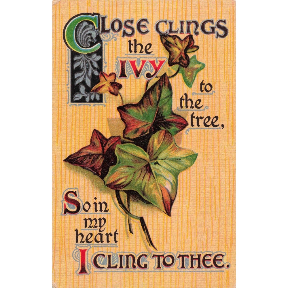 Vintage 1911 Ivy Sentiment Postcard Close Clings the Ivy to the Tree Poem VG - Picture 1 of 2